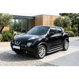 Seitenschweller Tayga Grey (2 Stk., Aluminium) Foto 1