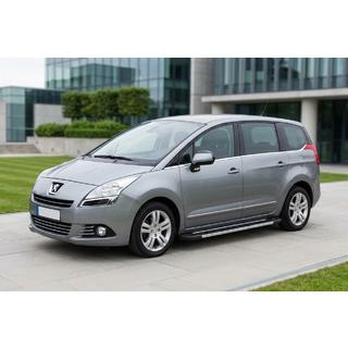Seitenschweller RedLine V1 (2 Stk., Aluminium) Peugeot 5008 2009-2016 Foto 1