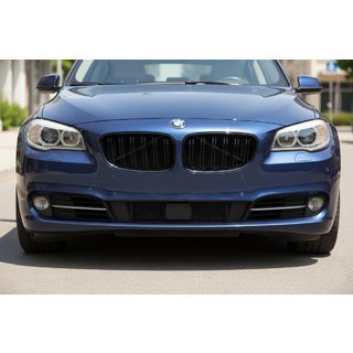 Nieren M-Look (Schwarz Glanz) BMW 5 Series F07 2009–2017 Foto 1