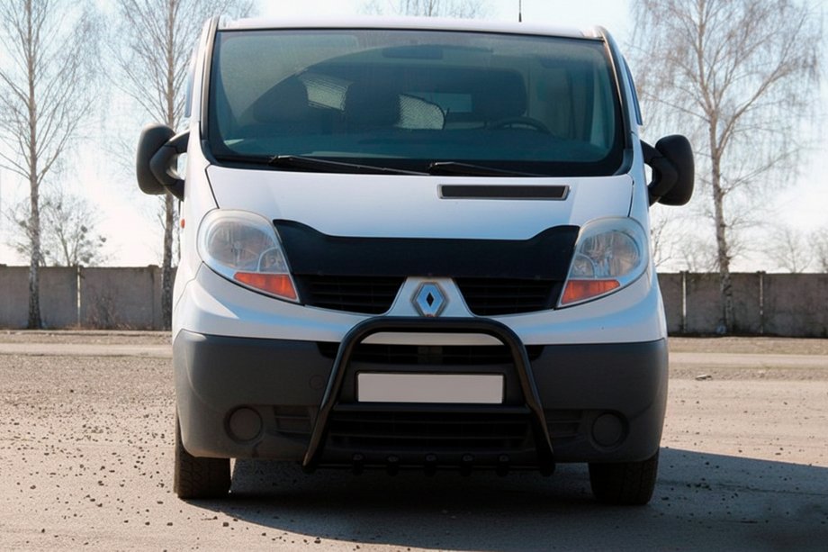 Opel Vivaro 2001–2015 Frontbügel QT-Spec Schwarz (Edelstahl) Image