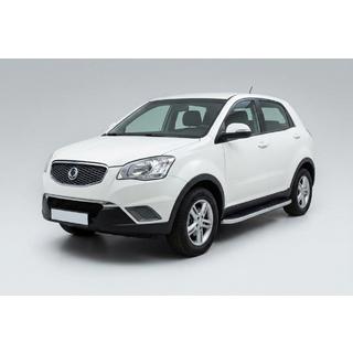 Seitenschweller Tayga Grey (2 Stk., Aluminium) Foto 1
