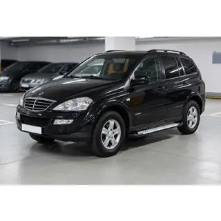 Trittbretter Allmond Grey (2 Stk., Aluminium) Foto 1