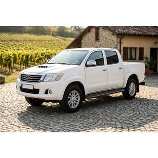 Seitenschweller Bosphorus Black (2 Stk., Aluminium) Toyota Hilux 2006-2015 Foto 1