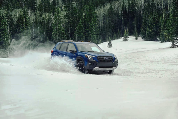 Welches Auto ist am besten für das Fahren im Winter geeignet? Foto 1