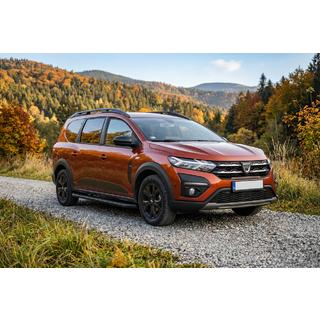 Seitenschweller Tayga Black (2 Stk., Aluminium) Foto 1