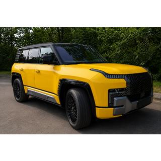 Integrierte Dachreling schwarz OEM (Aluminium)