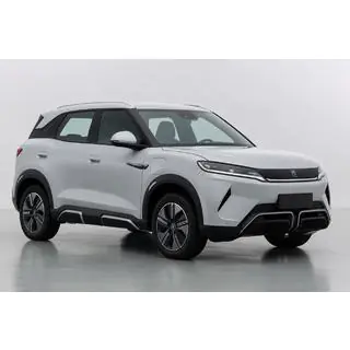 Integrierte OEM Dachreling grau (Aluminium)