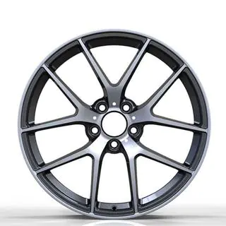 Geschmiedete Felgen DH-Style V20 R21