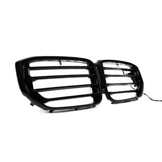 Nierengrills X5M F95 Design LED (2023+) Foto 3