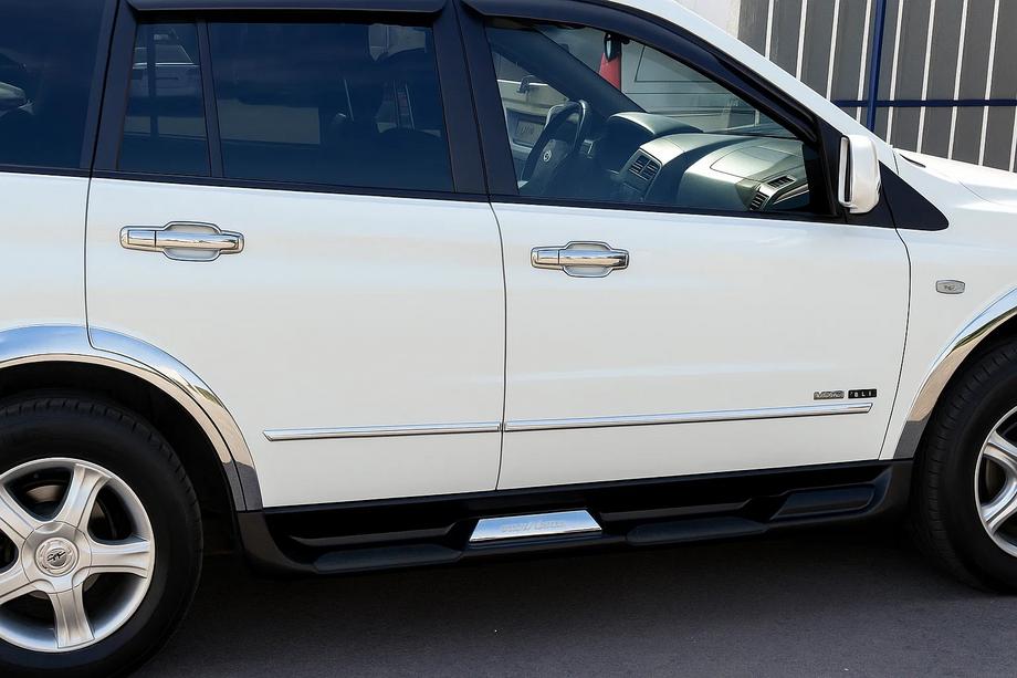 Ssang Yong Rodius Chrom Türgriffblenden (4 Stk, Kunststoff) Image