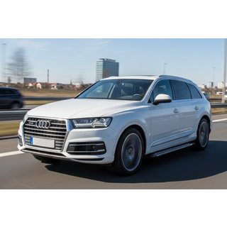 Trittbretter Rainbow (2 Stk., Aluminium) Audi Q7 2015–2026 Foto 1
