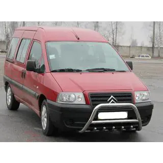 Frontbügel WT003 (Edelstahl) Peugeot Expert 1995-2007 Foto 2