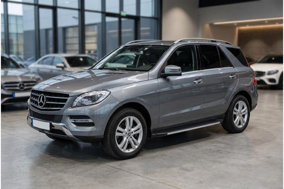 Mercedes GLE/ML class W166 2011-2018 Seitenschweller Maya V1 (2 Stk., Aluminium) Image