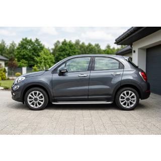 Seitenschweller Maydos V2 (2 Stk., Aluminium & Edelstahl) Foto 1