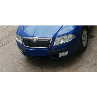 Winterabdeckung für Kühlergrill (oben) Skoda Octavia II A5 2006-2010 Foto 3