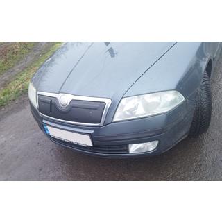Winterabdeckung für Kühlergrill (oben) Skoda Octavia II A5 2006-2010 Foto 2