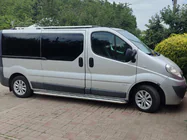 Opel Vivaro 2001–2015 Seitenschweller Premium (2 Stk., Edelstahl) Foto 15