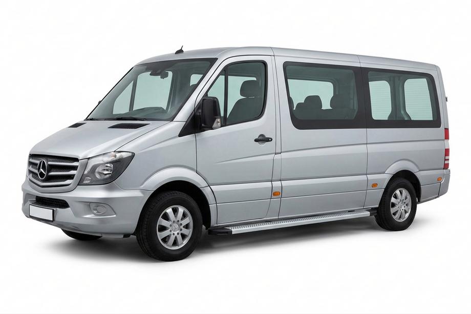 Mercedes Sprinter W906 2006–2018 Seitenschweller Maya V2 (2 Stk., Aluminium) Lang/ExtraLang Foto 1