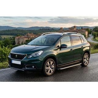 Seitenschweller Fullmond (2 Stk., Aluminium) Peugeot 3008 2008-2016 Foto 1