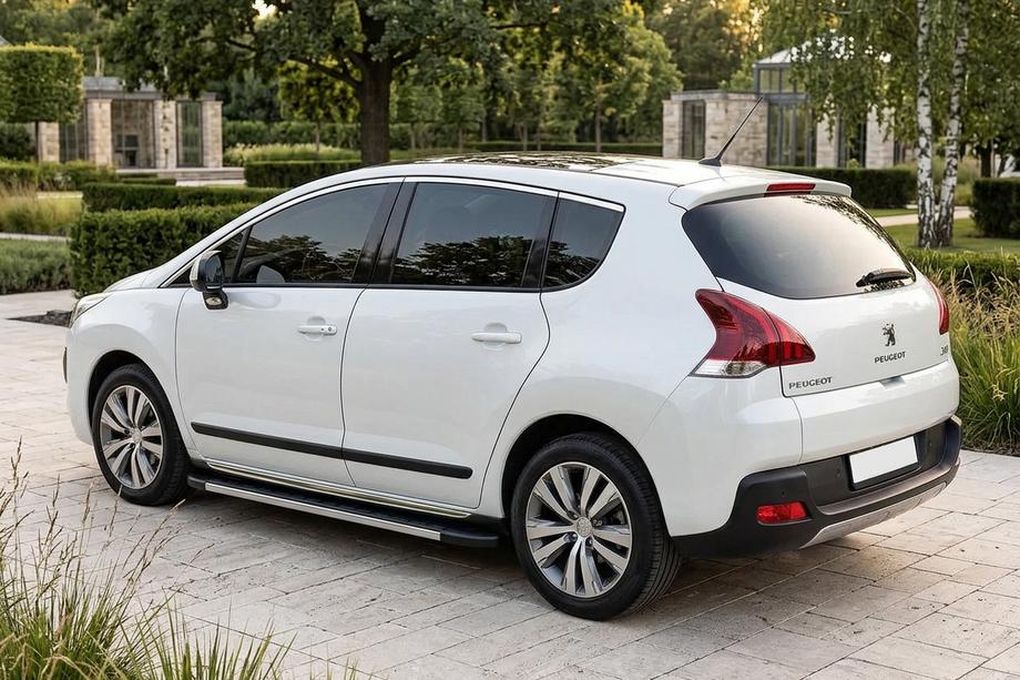 Peugeot 3008 2008-2016 Trittbretter Duru (2 Stk., Aluminium) 2008-2014 Image