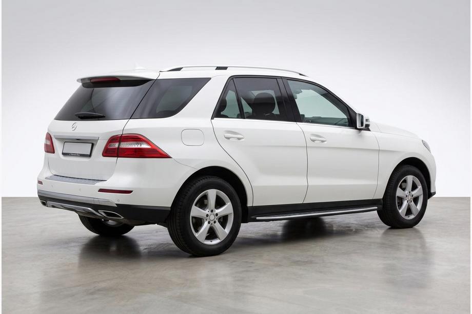 Mercedes GLE/ML class W166 2011-2018 Trittbretter Duru (2 Stk., Aluminium) Image