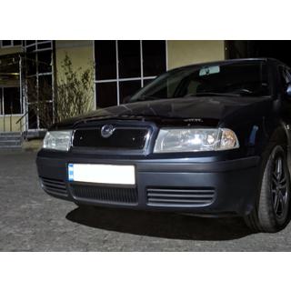 Wintergrill (oben) Skoda Octavia I Tour A4 1996-2010 Foto 4