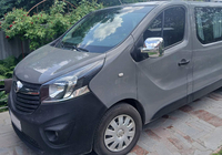 Opel Vivaro 2015-2019 Spiegelabdeckungen (2 Stk., Kunststoff) Foto 9