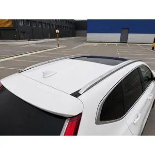 Integrierte Dachreling grau OEM (Aluminium, Schraubmontage) Foto 3