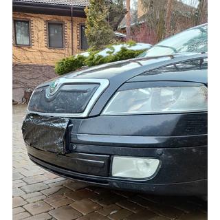 Winterabdeckung für Kühlergrill (unten) Skoda Octavia II A5 2006-2010 Foto 2