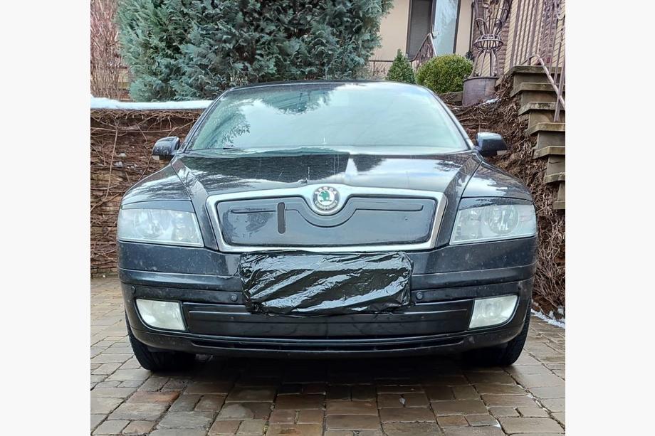 Skoda Octavia II A5 2006-2010 Winterabdeckung für Kühlergrill (unten) Image