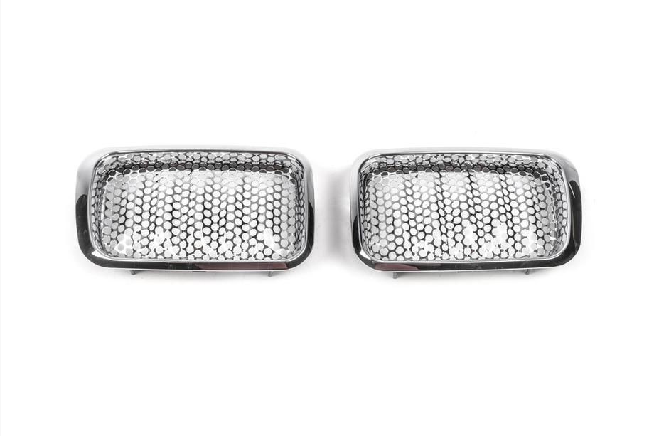 BMW 3 Series E36 1990-2000 Nieren Image
