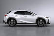 Übersicht der neuen kompakten Crossover Lexus UX 200 Foto 4
