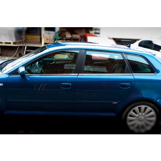 Untere Fensterleisten Edelstahl Audi A3 2003-2012 Foto 4