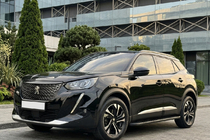 Peugeot 3008 2016-2023 Seitenschweller Bosphore Black (2 Stk., Aluminium) Foto 1