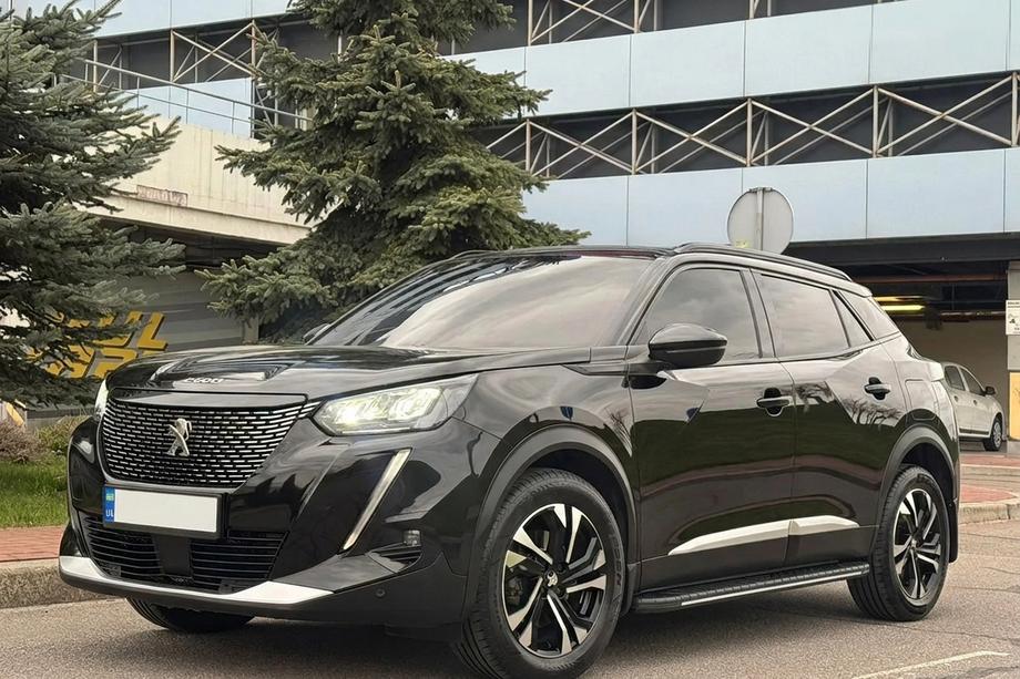 Peugeot 3008 2016-2023 Seitenschweller Bosphore Grey (2 Stk., Aluminium) Image