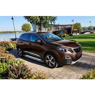Trittbretter Rainbow (2 Stk., Aluminium) Peugeot 3008 2016-2023 Foto 1