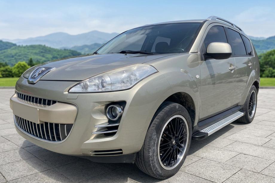 Peugeot 4007 2007-2013 Seitenschweller Maya V2 (2 Stk., Aluminium) Image