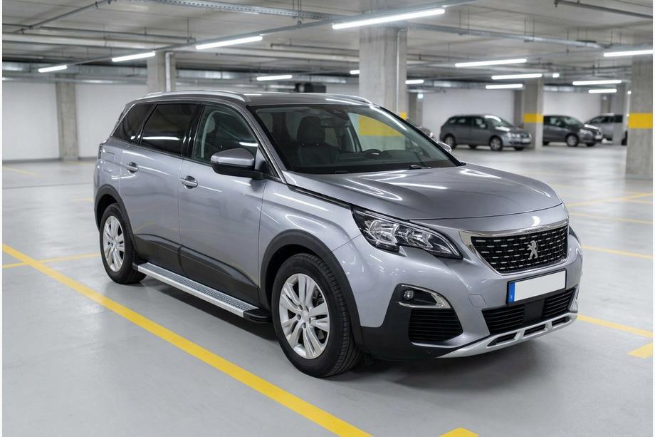 Peugeot 5008 2016-2023 Seitenschweller Maya V2 (2 Stk., Aluminium) Image