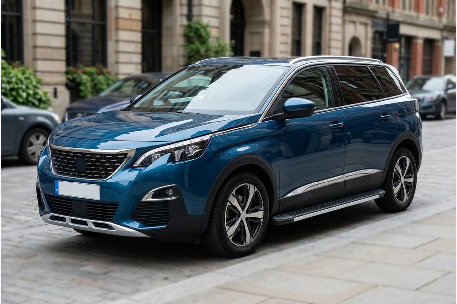 Peugeot 5008 2016-2023 Seitenschweller Maya V1 (2 Stk., Aluminium) Image