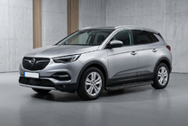 Opel Grandland X 2017- Seitenschweller Tayga Black (2 Stk, Aluminium) Foto 1