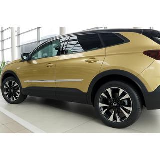 Türleisten Edelstahl (4 Stk) Opel Grandland X 2017- Foto 1