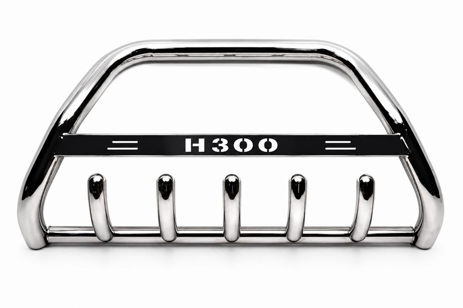 Hyundai H300, H1, Starex 2008-2020 Frontbügel WT004 Edelstahl Foto 2