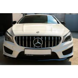 Frontgrill (2013-2016, GT Panamericana) Foto 3