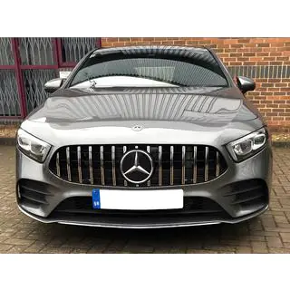 Frontgrill GT Panamericana (für 2018-2022) Foto 4