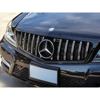 Frontgrill GT Panamericana Foto 3