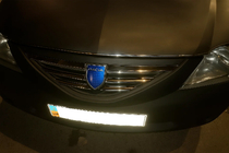Dacia Logan I 2005-2008 Chrom Kühlergrill Abdeckungen (Edelstahl) Carmos - Türkischer Stahl Foto 1