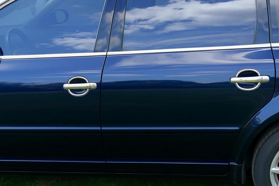 Volkswagen Golf 5 2003-2009 Schalen für Türgriffe (4 Stk., Edelstahl) Image
