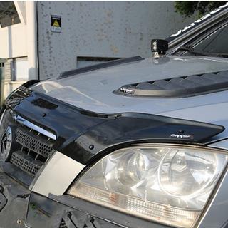 Motorhaubenschutz (EuroCap) Kia Sorento I BL 2002-2009 Foto 3