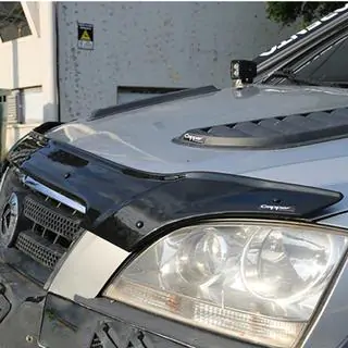 Motorhaubenschutz (EuroCap) Foto 3