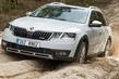 Skoda Octavia Scout: A5-, A7- und A8-Generation – Gebrauchtkauf-Check und passende Zubehörteile Foto 1